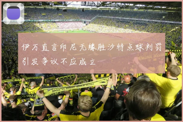 伊万直言印尼无缘胜沙特点球判罚引发争议不应成立