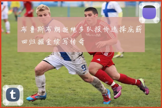 布鲁斯布朗拒绝多队报价选择底薪回归掘金续写传奇