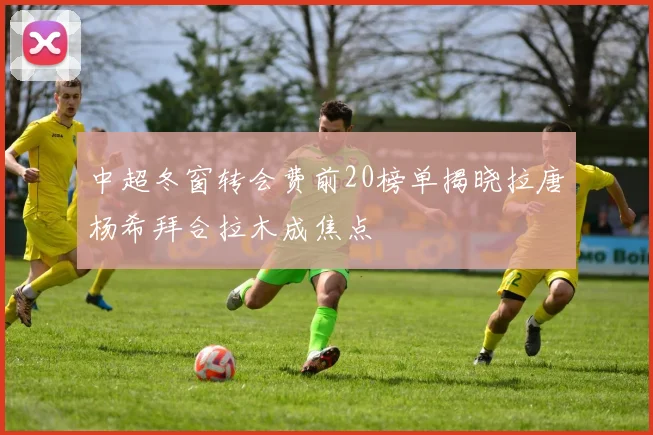 中超冬窗转会费前20榜单揭晓拉唐杨希拜合拉木成焦点