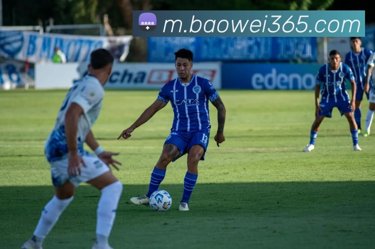 宝威体育平台生态图